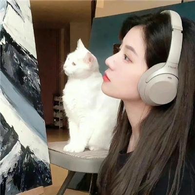 蟾蜍之路